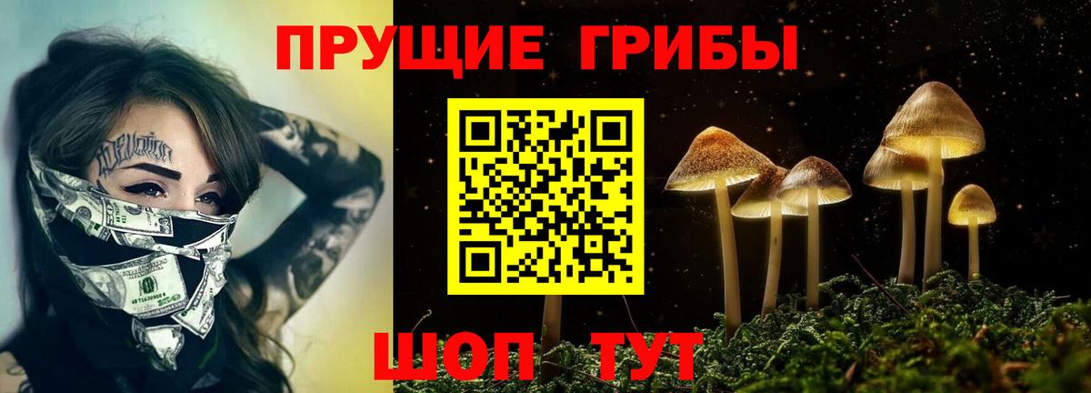 Псилоцибиновые грибы мицелий  Псилоцибиновые грибы мухоморы  Богданович  Вход с VPN 
